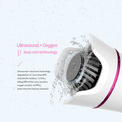 8.5V 10W Ultrasonik Ozon Sebze Meyve Sterilizatörü