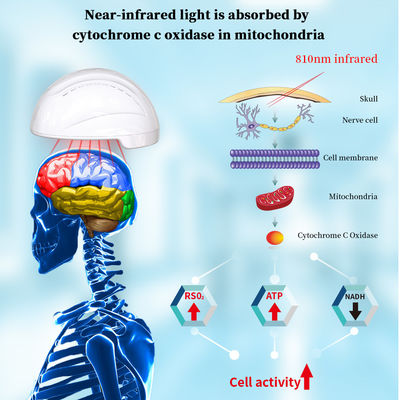 Alzheimer'ın İyileştirilmesi İçin 810nm Kızılötesi LED Işık Fotobiyomodülasyon Kaskı