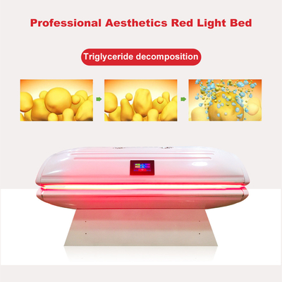 Vücut Şekillendirme için Fotodinamik PDT Kırmızı Işık Kollajen Yatak