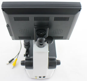 CCD Video Kamera ile Profesyonel Microcirculation Mikroskop / Nailfold Kılcal Mikroskopi